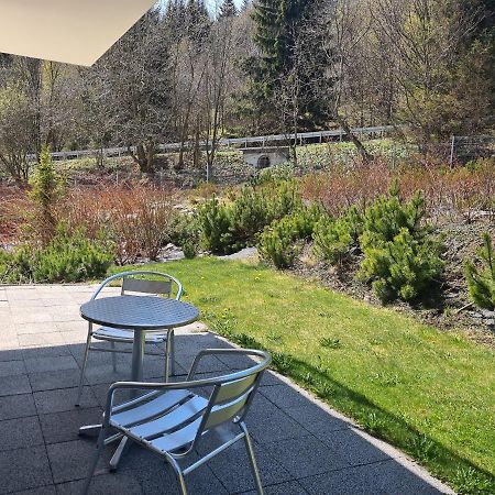 Apartament Czarna Gora B11 Sienna  Eksteriør billede